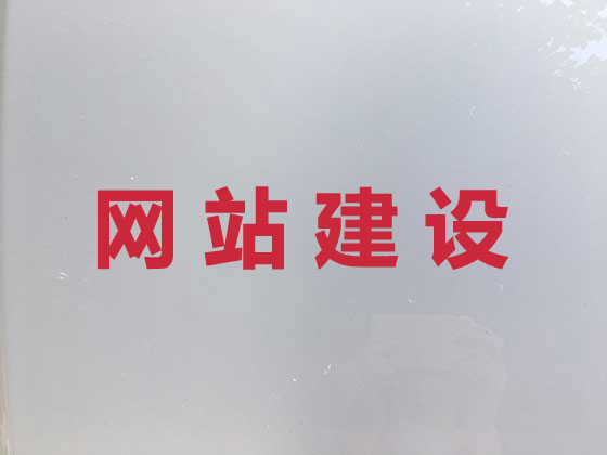 丽水网站设计开发